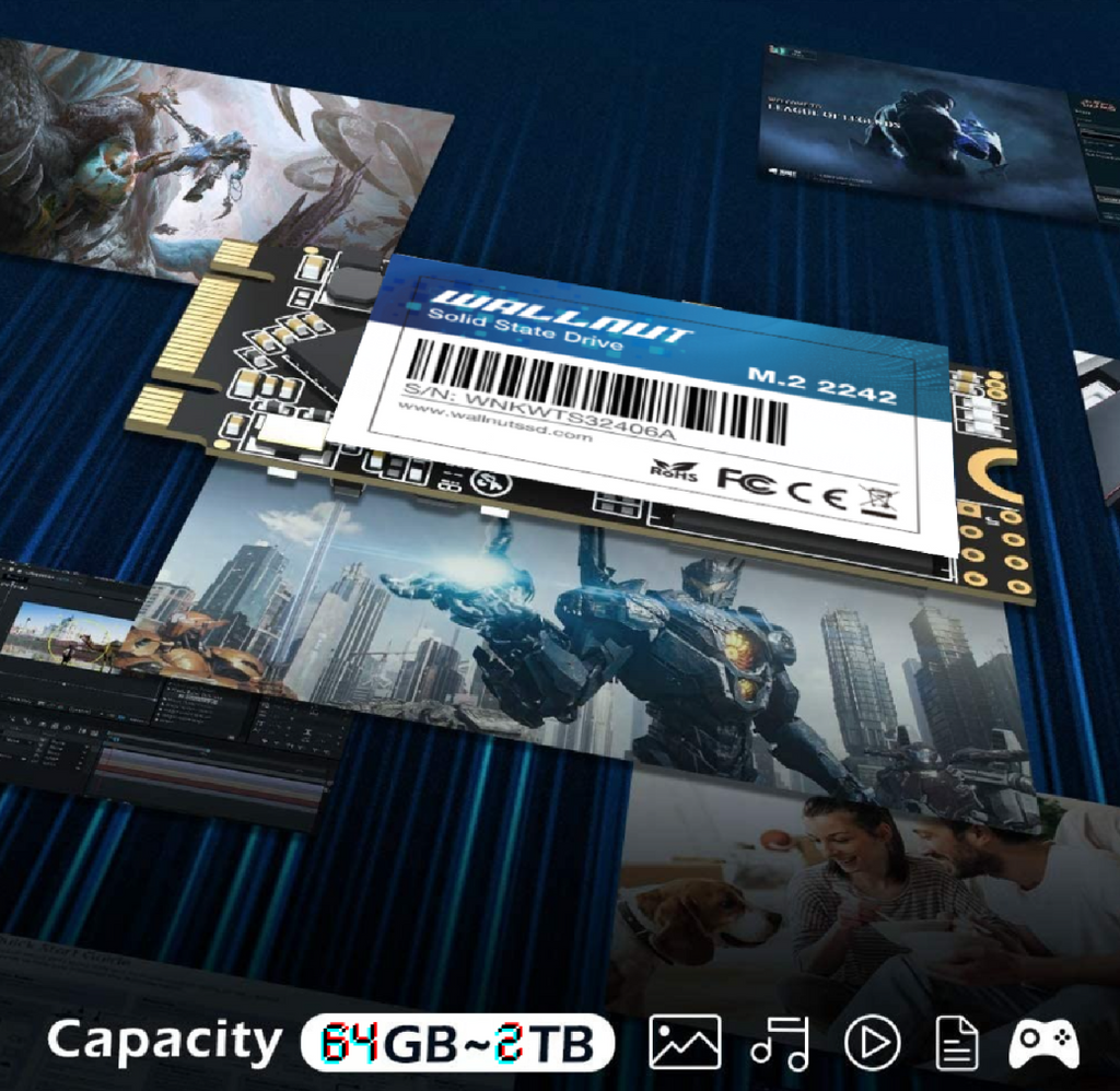 Wallnut M.2 NGFF Sata SSDs Solid State Drive